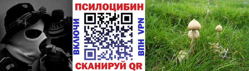 МЕГА tor  Северск  Псилоцибиновые грибы Psilocybe 